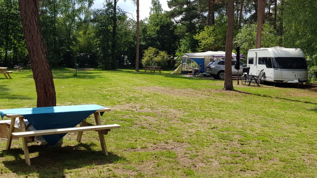 Bosveld 2 op camping De Krakeling in Zeist