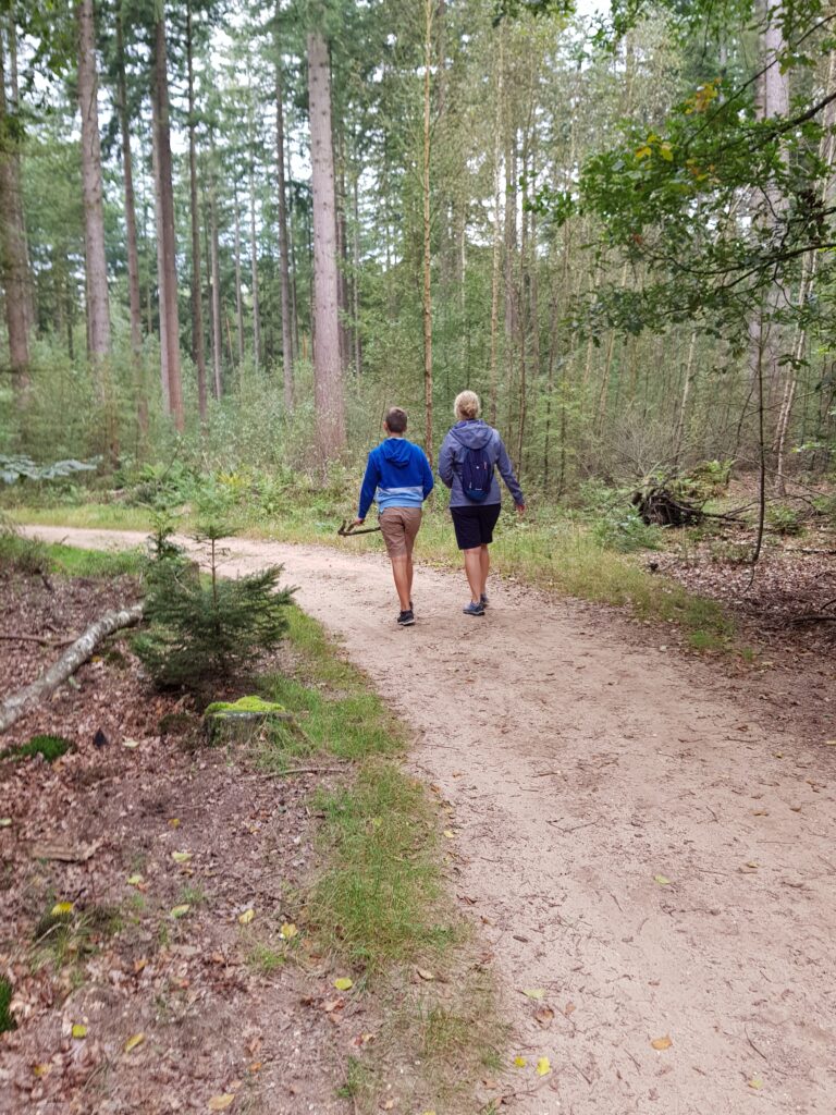 wandelen vlakbij camping de Wildhoeve, Emst 