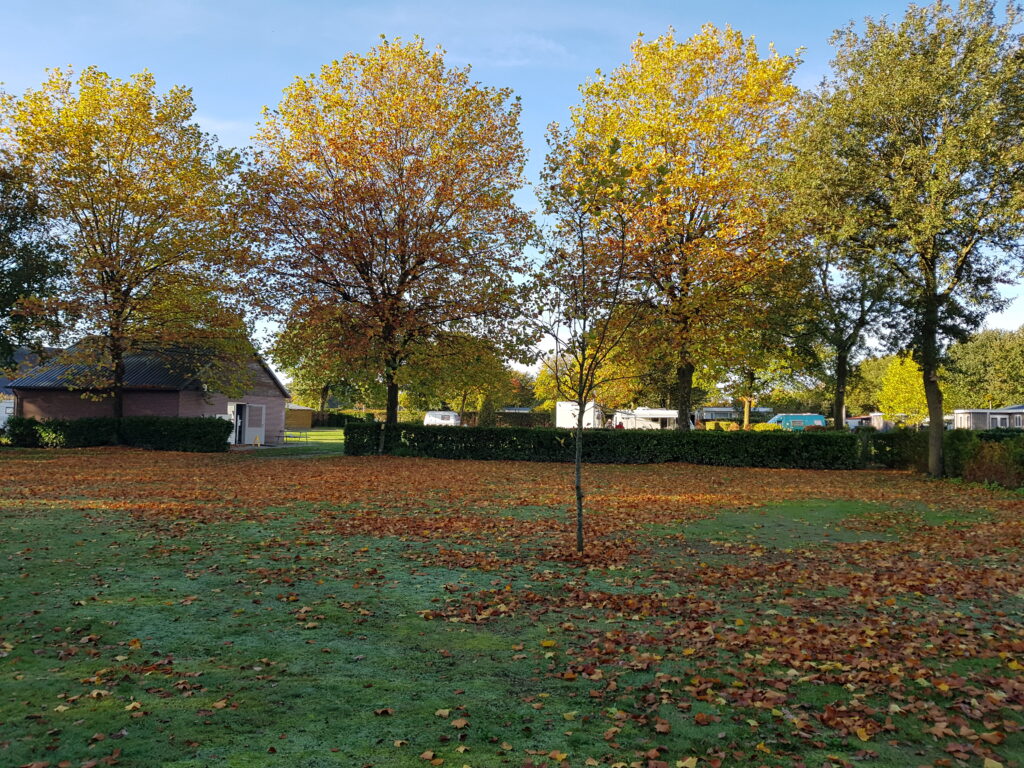 prachtig herfstkleuren op de camping