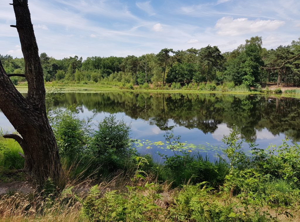 rustiek kamperen in Nederland