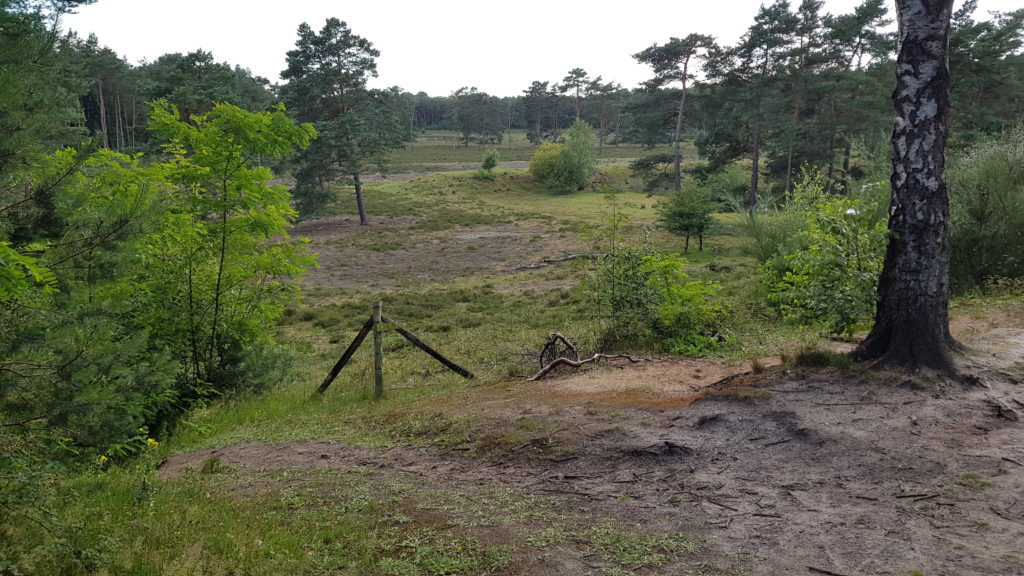 avondwandeling over de Veluwe langs een schaapskooi