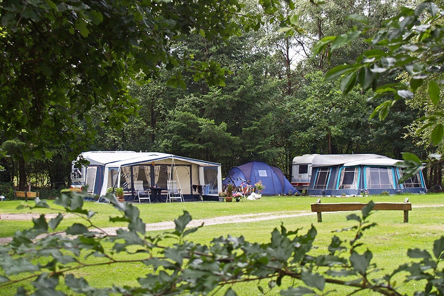 Veluwecamping Samoza, hondencamping Samoza, paardencamping Samoza, Glamping Veluwe, gezinscamping Samoza