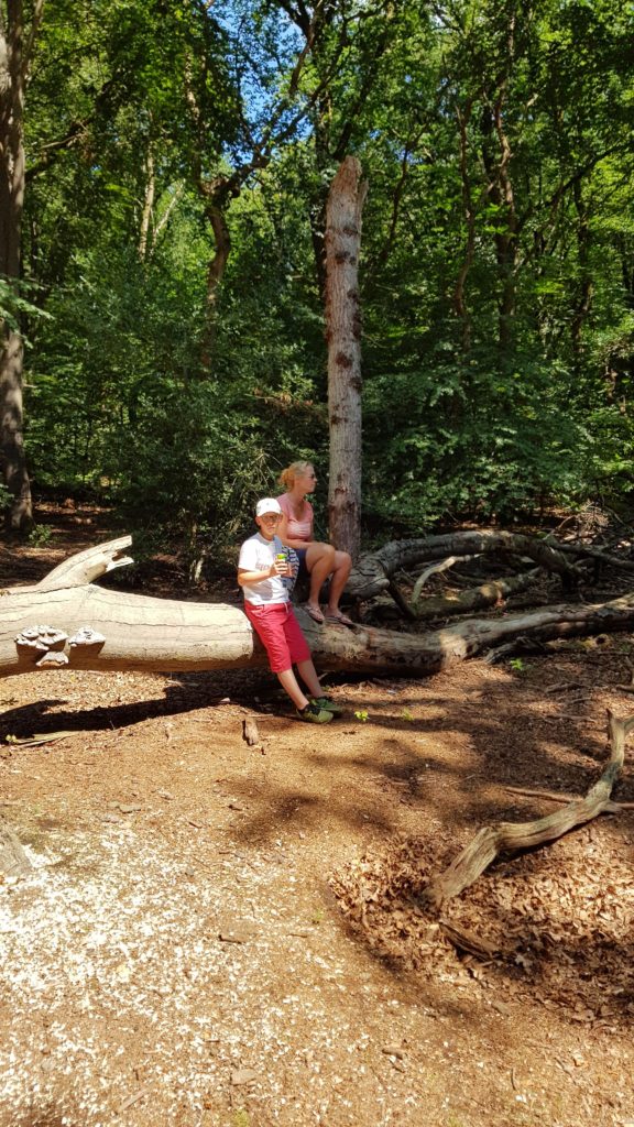 fietsen door het bos van camping De Paalberg naar Garderen