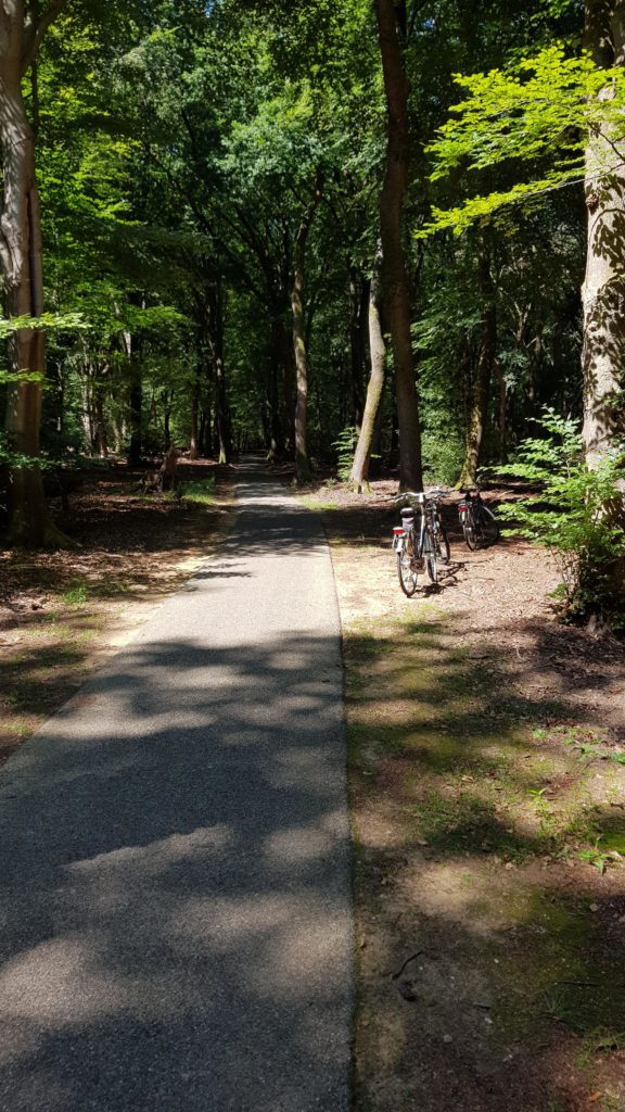 fietsen door het bos van camping De Paalberg naar Garderen