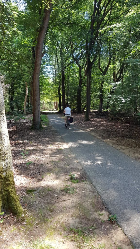 fietsen door het bos van camping De Paalberg naar Garderen