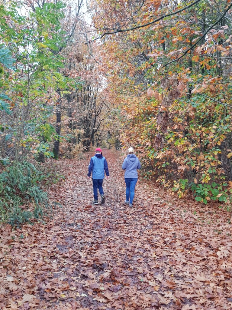 herfstwandeling