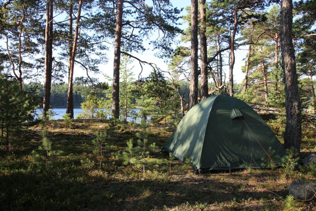 kamperen op een microcamping in het bos