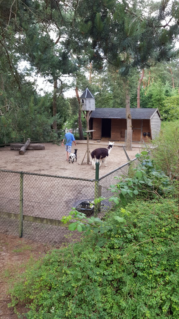 Kinderboerderij op camping De Krakeling in Zeist