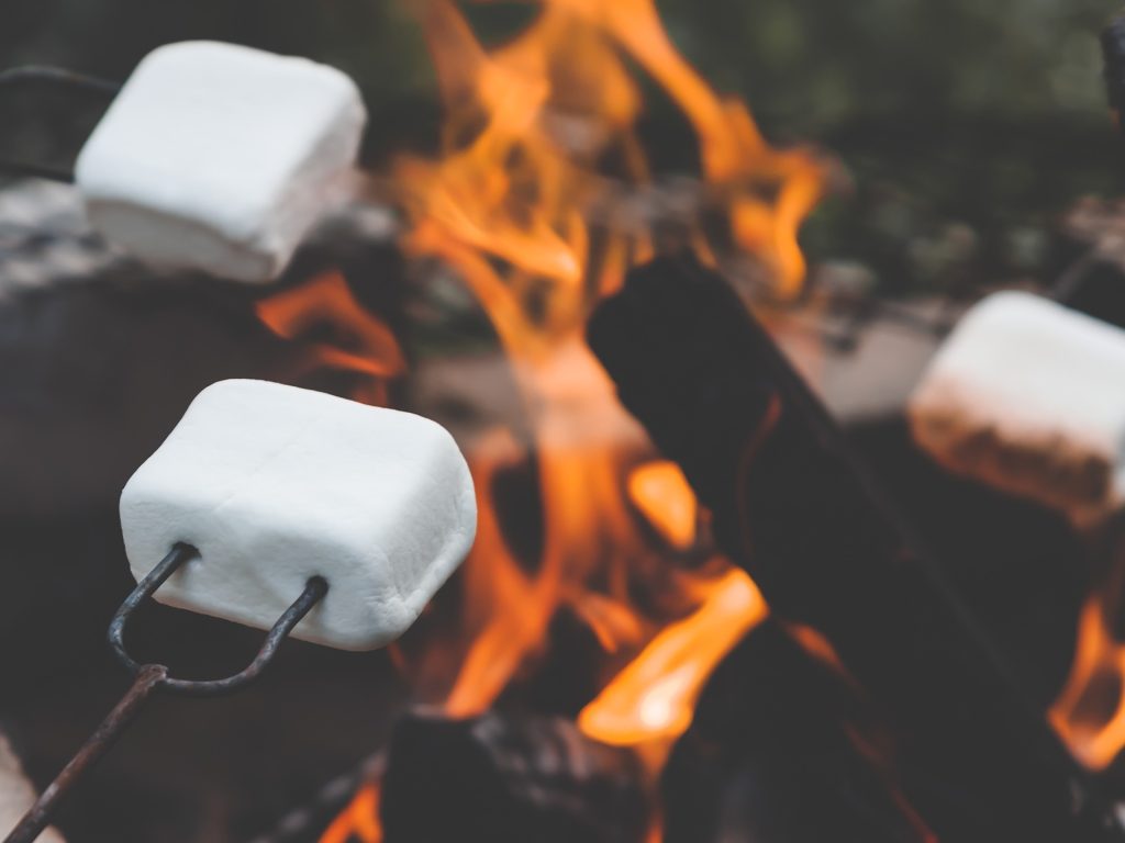 marshmallows roosten boven kampvuur op de camping