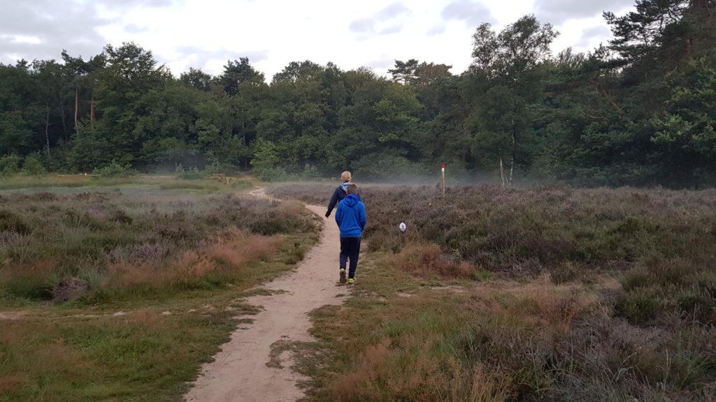 Ochtendwandeling op de Veluwe, wild spotten