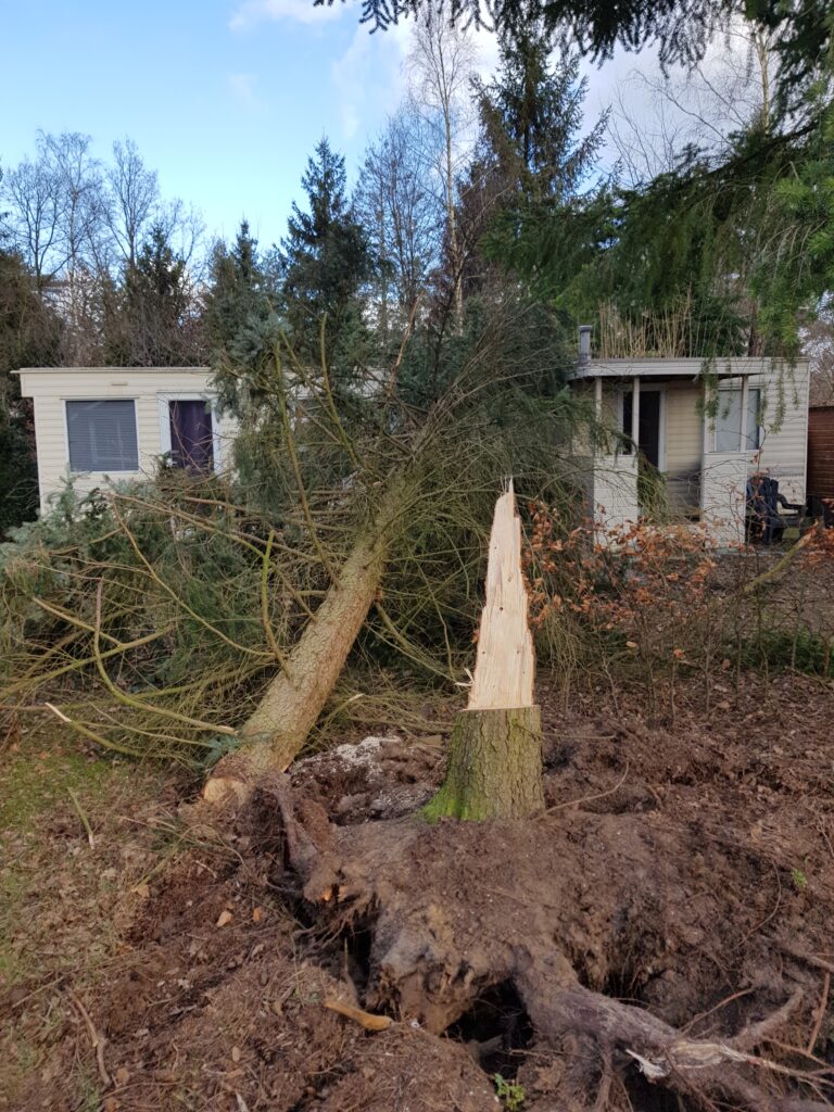 omgevallen boom op camping de Paalberg na storm Eunice