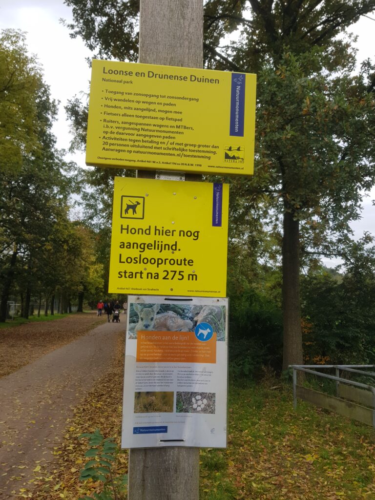 wandelen Loonse en Drunense Duinen