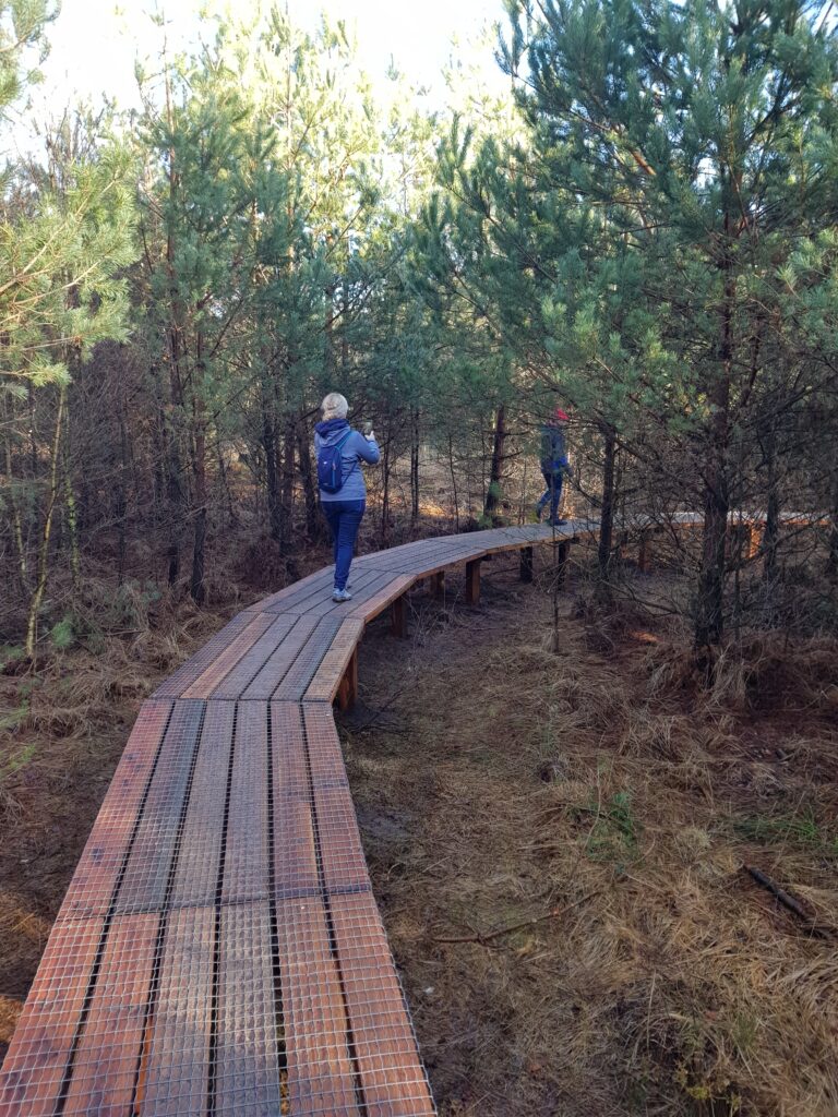 Nationaal Park Dwingelderveld