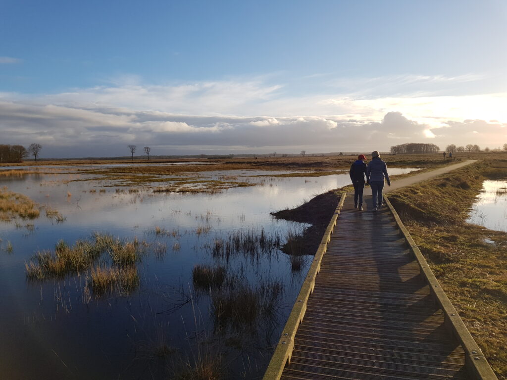 Nationaal Park Dwingelderveld