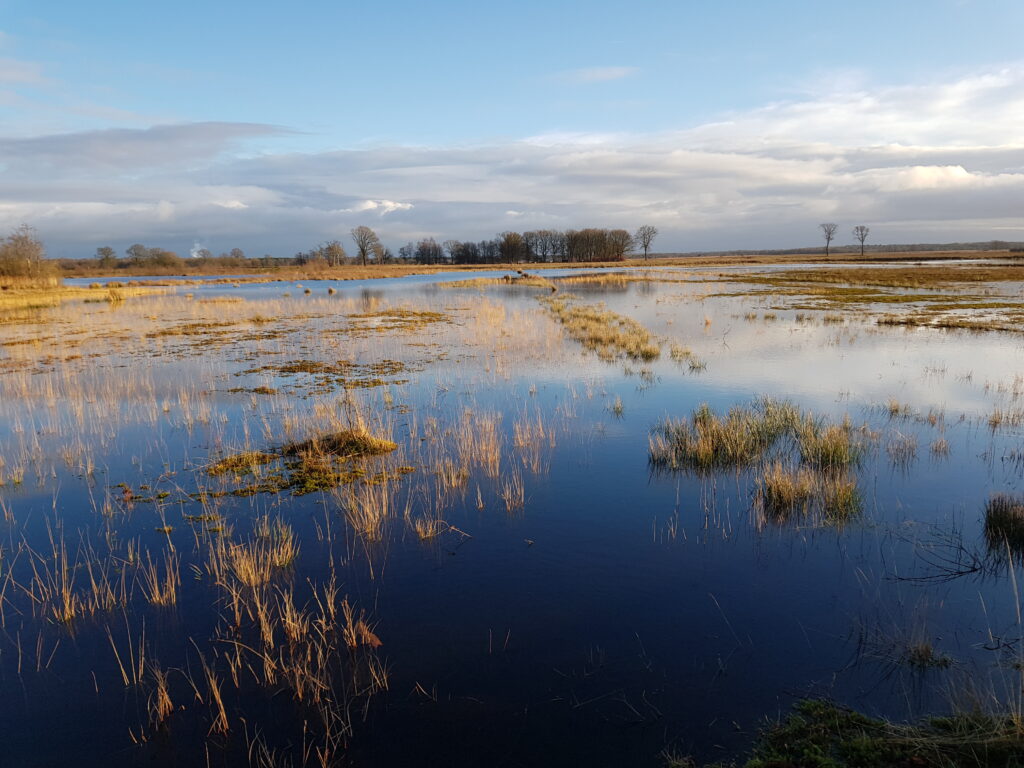 Nationaal Park Dwingelderveld