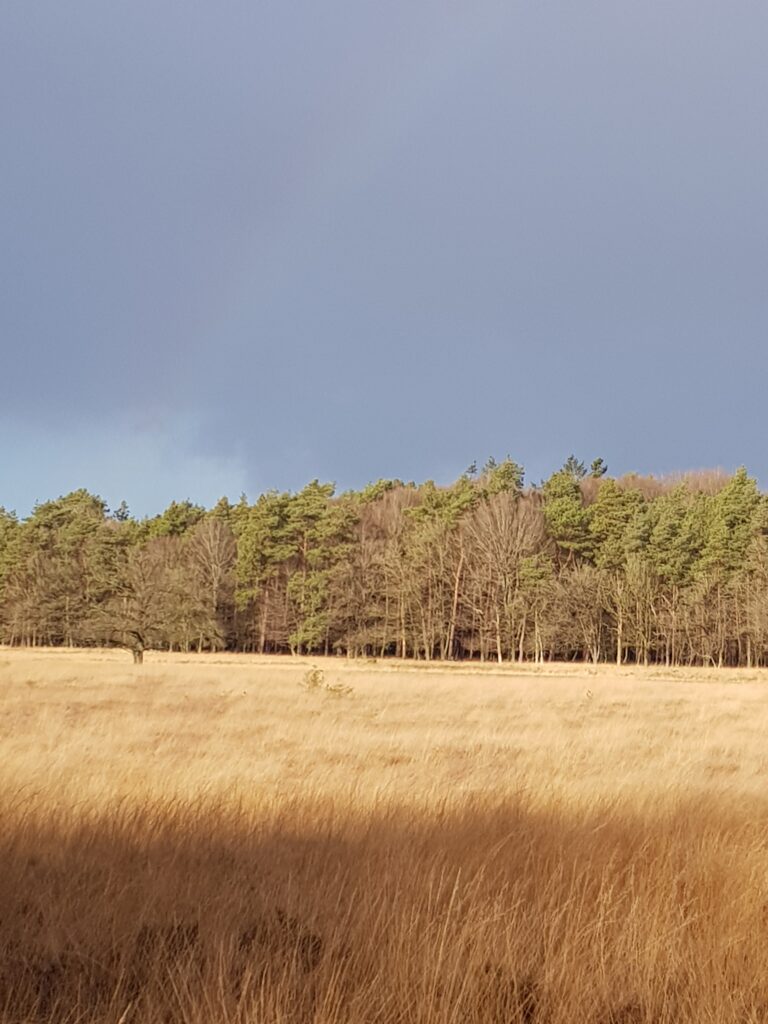 Nationaal Park Dwingelderveld