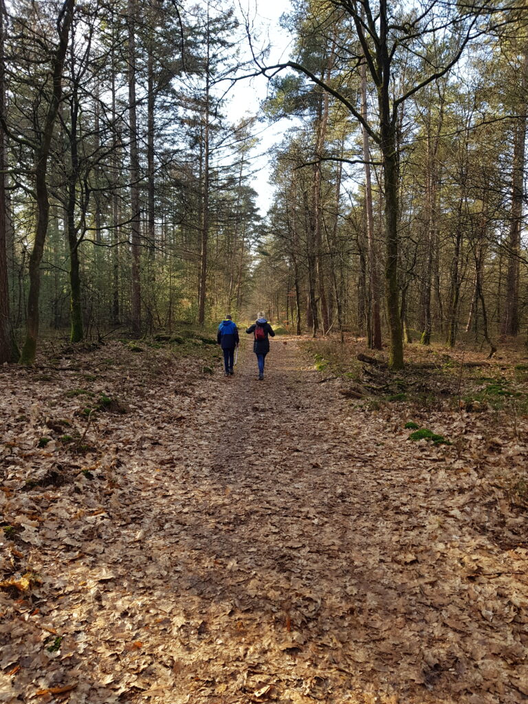 het bos (Veluwe) in met een prikstok / afvalgrijper 