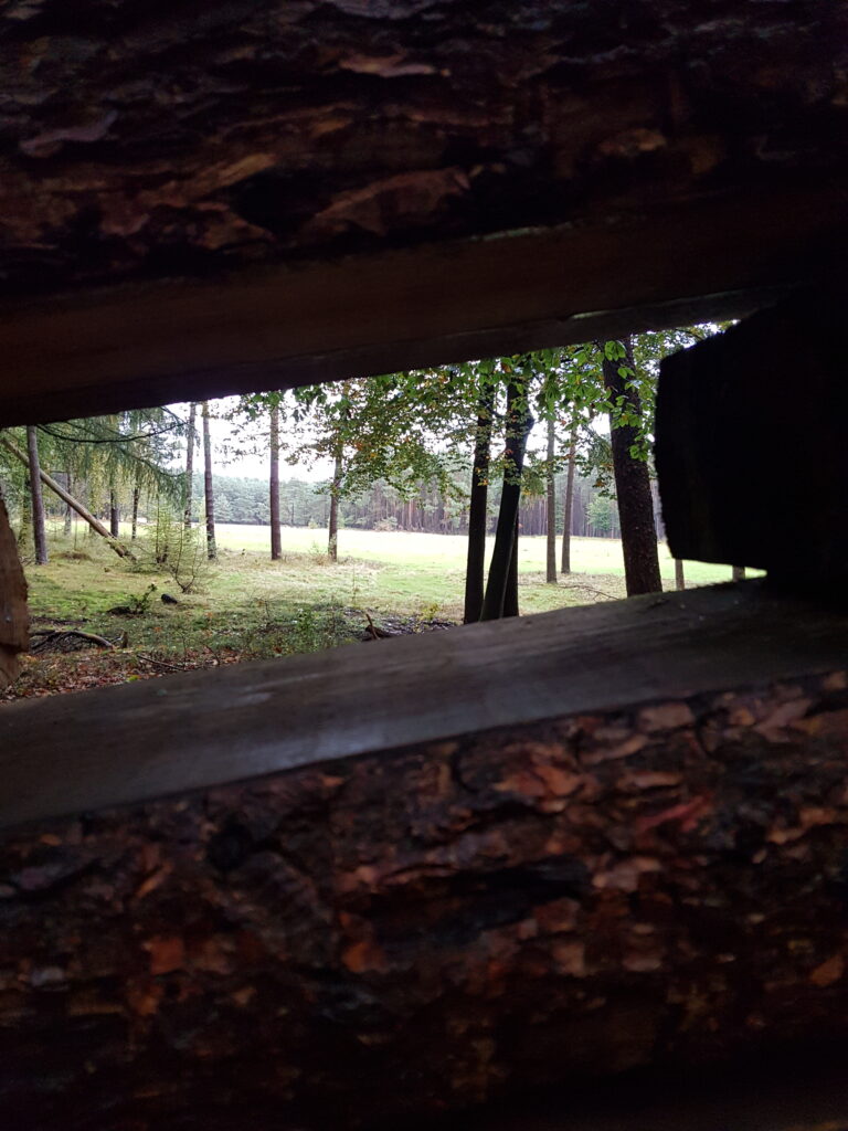 wild spotten Veluwe bij Wildkijkscherm Ringakker