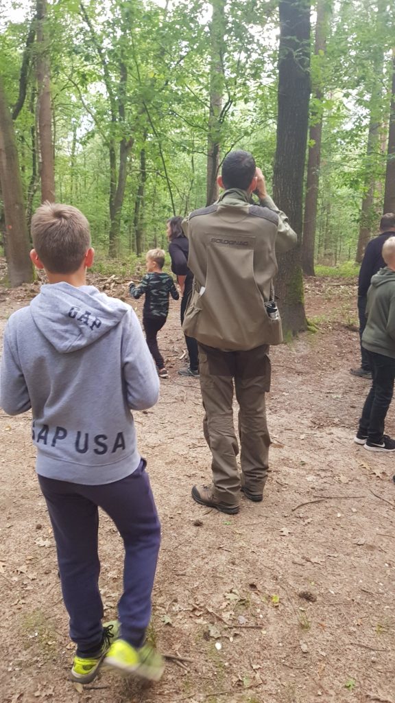 wild spotten op de Veluwe met de boswachter